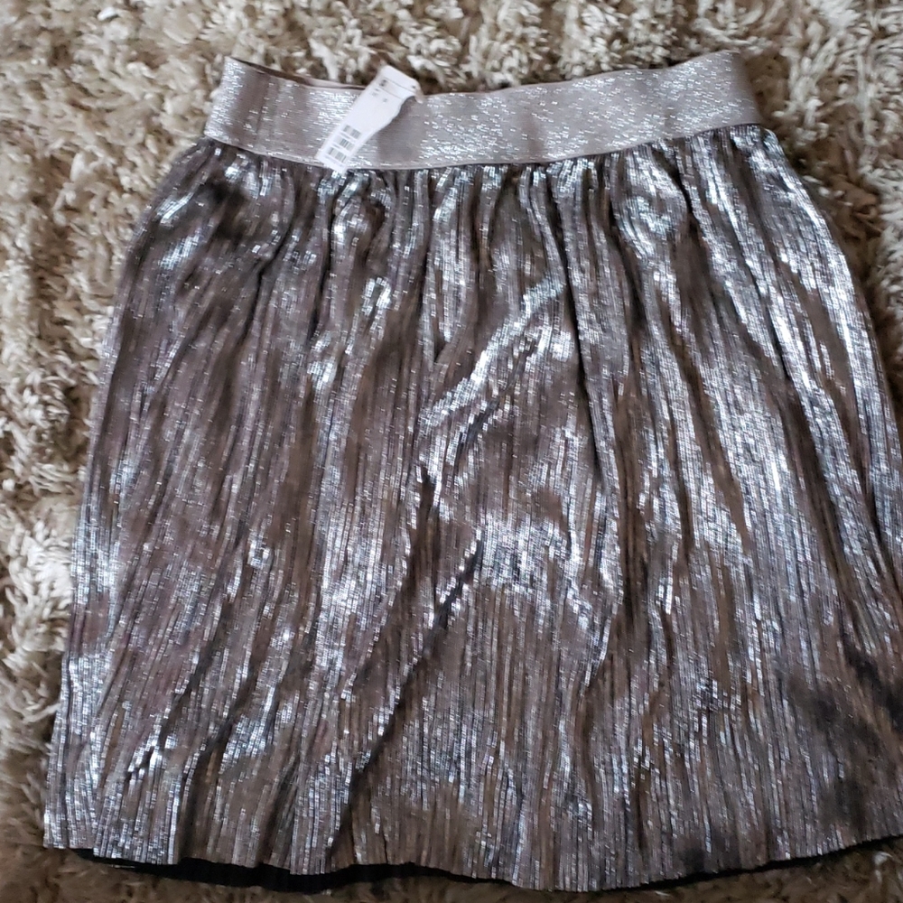 Silver sparkle skirt